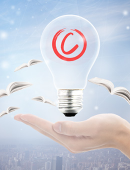 知識產(chǎn)權(quán)